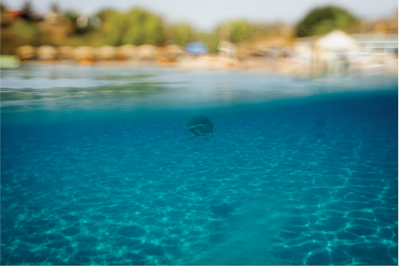 Sustaining Playa Piskadó: Balancing Conservation and Tourism - shot by Zena Rigaud